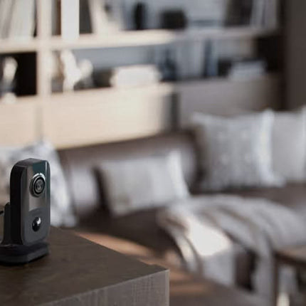 Ajax Systems Ajax Systems IndoorCam,  Wi-Fi camera met PIR-bewegingsdetector en ingebouwde AI Technologie