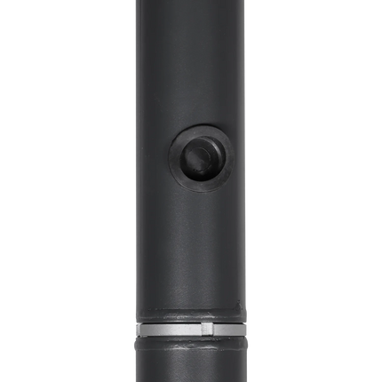 AlarmsysteemExpert.nl Mât pour caméra 4,5 m, gris anthracite, acier galvanisé, paratonnerre