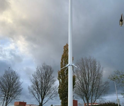 Alarm SystemExpert.nl Alarm SystemExpert.nl Camera mast movable aluminum 3 meters Ø 90mm with tile frame