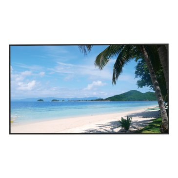 Dahua Dahua LM49-S400 49" 4K-Bildschirm