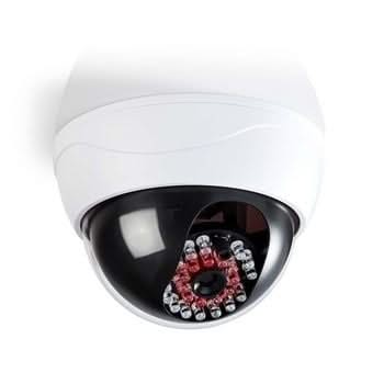 Nedis Dummy beveiligingscamera Dome IP44 Wit