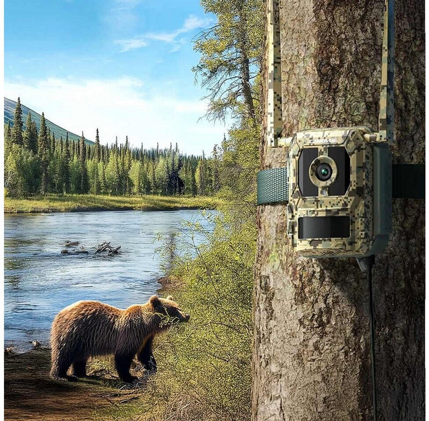 Reolink Reolink S130-C, Wildlife 8MP 4K camera met Live view en Starlight
