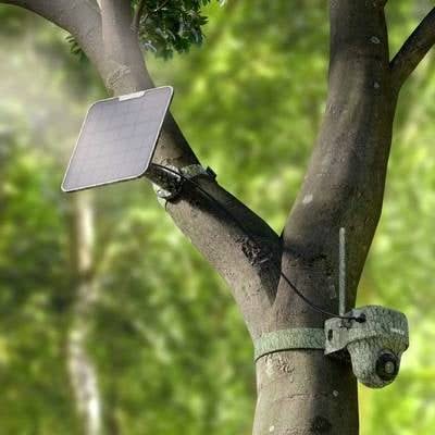 Reolink Reolink Wildlife 4K Kamera G450 + Solarpanel 4G LTE